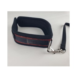 Spartacus Collar & Leash - Neoprene Red