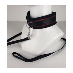 Spartacus Collar & Leash - Neoprene Red