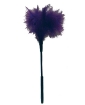 Sex & Mischief Feather Tickler - Purple