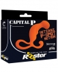 Curve Novelties Rooster Capital P - Orange