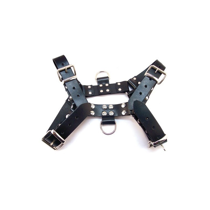 Rouge Over the Head Large Harness Rouge Over the Head Large Harness