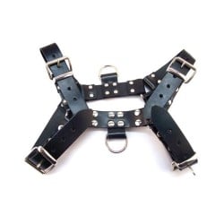 Rouge Over the Head XLarge Harness