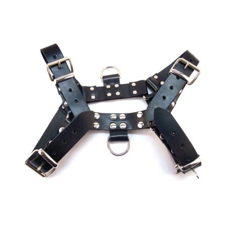 Rouge Over the Head XLarge Harness