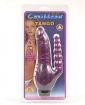 Jelly Caribbean Tango Vibe - Purple