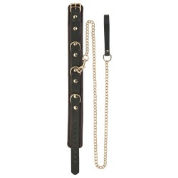 Spartacus Collar & Leash - Brown Leather w/Gold Accent Hardware