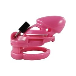 Locked In Lust The Vice Standard - Pink