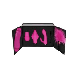 Shots Switch Pleasure Kit No.1 - Pink