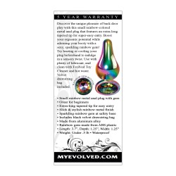Evolved Rainbow Metal Plug - Small