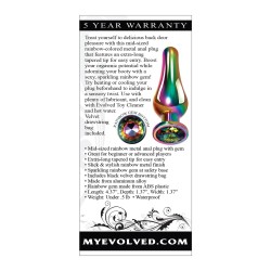 Evolved Rainbow Metal Plug - Medium