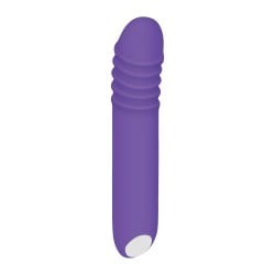 Evolved The G-Rave Light Up Vibrator - Purple