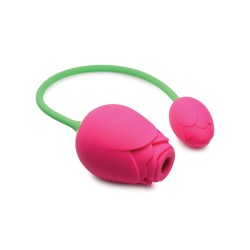 Inmi Bloomgasm Rose Duet - Pink
