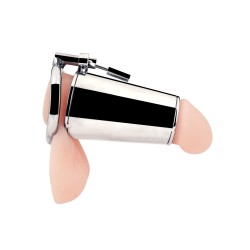 Blue Line Ultimate Cock Tease Cage - Silver