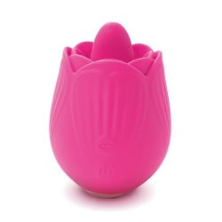 Skins Rose Buddies The Rose Flix - Pink