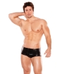 Zeus Wet Look Front Zipper Short Black O/S